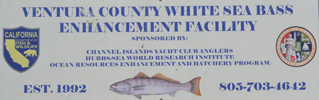 Ventura County White Sea Bass Enhancement Facility Logo