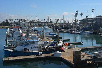 Ventura County Commercial Fishing Marina in Channel Islands Harbor