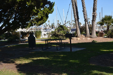 Harbor View Park Picnic Table